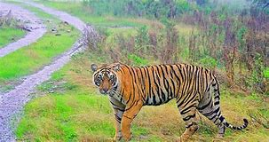 Anshi National Park Landscape